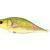 Dorado Woblery Tempter 18 Big Mama