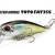 DUO Hard Lures Tetra Works TOTOFAT 35S