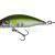 Lucky John Woblery Yuga 50S
