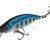 Lucky John Woblery Yuga 50S